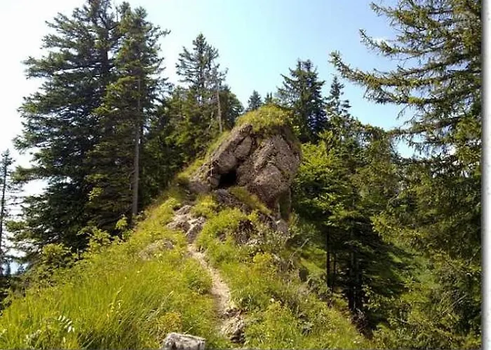 招待所 Hubertushaus 3*